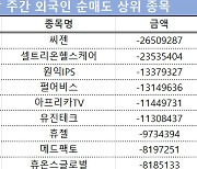 코스닥 주간 외국인 순매도 1위 '씨젠'