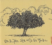 [주홍수의 삼라만상 12] 코르크 나무를 심는 지중해 사람의 지혜