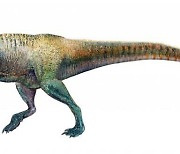 날랜 공룡 '티라노사우루스' 알고보니 느림보?