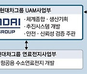 '1.4조달러 시장' 하늘길 속도내는 현대차..한화와 UAM 경쟁 격화