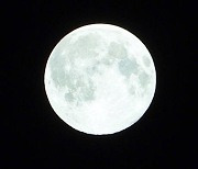 "화요일엔 보름달 보세요".. 27일 올해 가장 큰 슈퍼문 뜬다