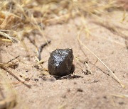 [사이테크 플러스] "2018년 보츠와나에 떨어진 운석의 고향은 소행성 베스타"