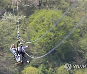 대봉산 짚라인 추억 담기