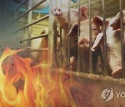 충남 돼지농장·사찰·야산·공장 등지 화재..인명피해 없어(종합2보)