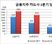 카드사 호실적에도 '금리인하·수수료 인하' 압박에 한숨