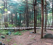 국립청태산자연휴양림, '숲에 사랑을 더하다' 어린이날 행사 개최