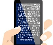 "유부녀인데 대화해요" 불법스팸 성인광고 17곳 검찰행
