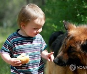 KYRGYZSTAN ANIMALS DOG SHOW