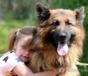 KYRGYZSTAN ANIMALS DOG SHOW