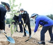 '평화의 나무' 심는 이인영 통일장관