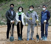 김제남 수석, 평화의 나무 식수