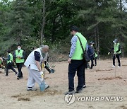 '평화의 나무심기'