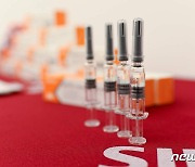 이집트, 中 시노백 백신 긴급 사용 승인..시노팜·AZ에 이어