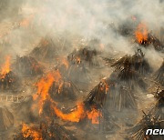 [포토 in 월드] '코로나 쓰나미' 인도, 아비규환의 생지옥