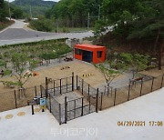 강릉, 반려동물 놀이터 오늘부터 무료 개방
