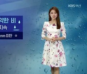 [날씨] 부산 오늘 밤 5mm 미만 비..내일 '황사' 유입