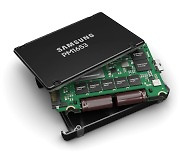 Samsung Elec launches industry's first SAS-4 SSD on 128-layer vertical NAND