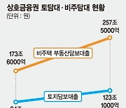 규제 느슨한 상호금융 토담대·비주담대, 5년새 급증..'투기' 통로됐나