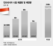 "니켈을 확보하라" '매장량 1위' 인도네시아 찾는 배터리 업체들