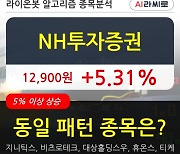 NH투자증권, 상승흐름 전일대비 +5.31%.. 최근 주가 상승흐름 유지