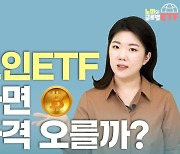 '비트코인 ETF' 상장하면 코인 가격 진짜 오를까? [나수지의 쇼미더재테크]