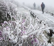 "5월 맞아?" 지리산 노고단 눈길 산행