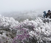 "봄과 겨울 정취를 동시에" 눈쌓인 노고단