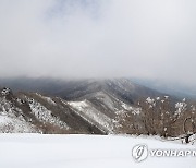 소백산 정상에 쌓인 눈