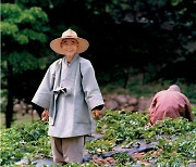 평생 하루 한끼에 눕지도 않던 스님.."공부하다 죽어라"