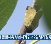 "충북 돌발해충 부화시기 7~12일 빨라질 듯"