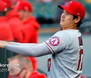 '시즌 9호포' 사구 아랑곳 않은 LAA 오타니, MLB 홈런 공동 선두 등극