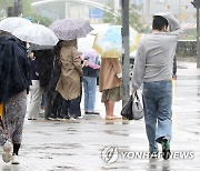 전국 차차 흐려지며 봄비..강풍 주의