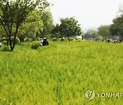 [날씨] 어린이날, 비 그치고 맑아져..해안·산지 강풍