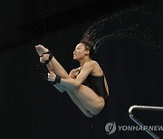 JAPAN DIVING WORLD CUP