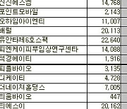 [표]코스닥 외국인 연속 순매수 종목(6일)