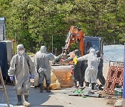 돼지 밖에서 기른 ASF 발생농장, 중수본 "방역상 취약점 보완해야"