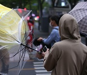 강풍·황사에 낮까지 비 소식.. 미세먼지는 전국 '나쁨'