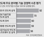 "국내 AI-차량용 반도체 경쟁력 60점 수준"