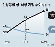 작년 신용등급 하락기업 66곳.. 1년새 12곳 늘며 하방 압력 지속