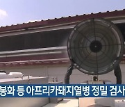 영주·봉화 등 아프리카돼지열병 정밀 검사