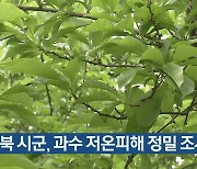 경북 시군, 과수 저온피해 정밀 조사