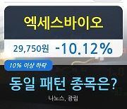 엑세스바이오, 주가 하락 현재는 -10.12%.. 이 시각 233만2396주 거래