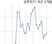 금호전기, 특별관계자 지분변동