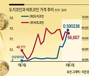 도지코인 다음은 디지바이트·비체인·세이프문?