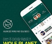 "이번 주 아이랑 뭐하지?".. 육아 아빠를 위한 큐레이션 캘린더 '울프플래닛' 출시