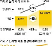 최고 실적 또 갈아치운 카카오.. 모빌리티·페이 '일등 공신'