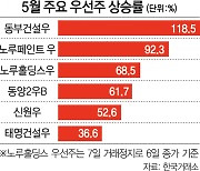 '우선주 광풍' 재연되나..동부건설우 등 8개 상한가