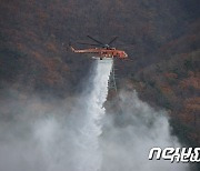 횡성 산불 1시간 20분 만에 주불 진화..화인 조사(종합)