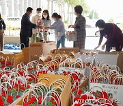 '만원의 행복'..제주도, 화훼농가·꽃집 돕기 꽃 소비 캠페인