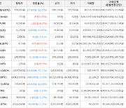 가상화폐 비트코인 -0.53% 하락, 리스크 31.87% 상승